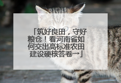 筑好良田，守好粮仓！看河南省如何交出高标准农田建设硬核答卷→