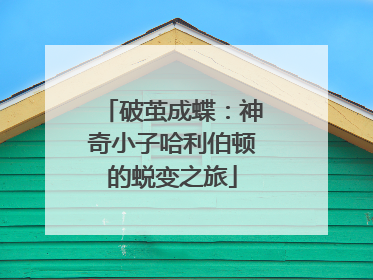 破茧成蝶：神奇小子哈利伯顿的蜕变之旅