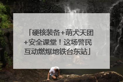 硬核装备+萌犬天团+安全课堂！这场警民互动燃爆地铁台东站