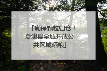 确保颗粒归仓！夏津县全域开放公共区域晒粮