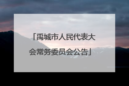 禹城市人民代表大会常务委员会公告