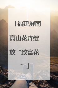 福建屏南高山花卉绽放“致富花”