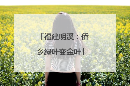 福建明溪：侨乡绿叶变金叶
