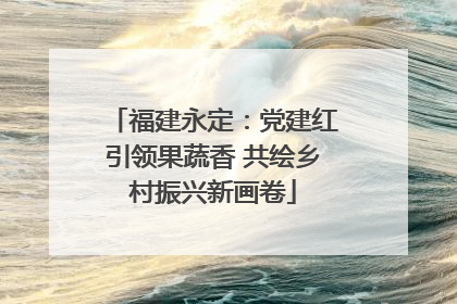 福建永定：党建红引领果蔬香 共绘乡村振兴新画卷