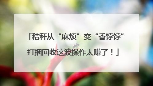 秸秆从“麻烦”变“香饽饽” 打捆回收这波操作太赚了！