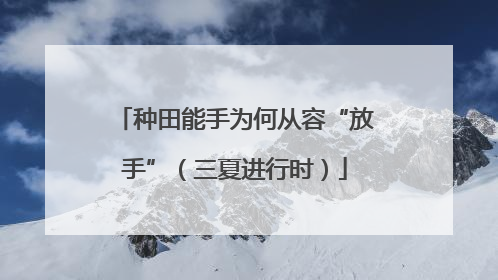 种田能手为何从容“放手”（三夏进行时）