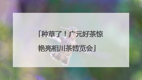 种草了！广元好茶惊艳亮相川茶博览会