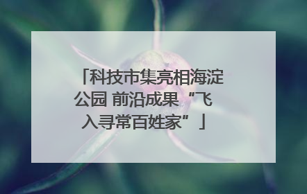 科技市集亮相海淀公园 前沿成果“飞入寻常百姓家”