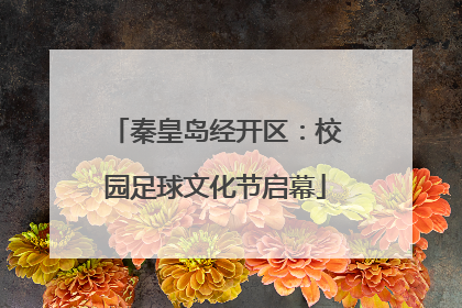 秦皇岛经开区：校园足球文化节启幕