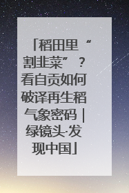 稻田里“割韭菜”？看自贡如何破译再生稻气象密码｜绿镜头·发现中国