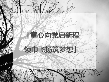 童心向党启新程 领巾飞扬筑梦想