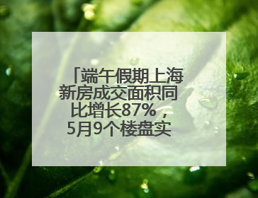 端午假期上海新房成交面积同比增长87%，5月9个楼盘实现“日光”