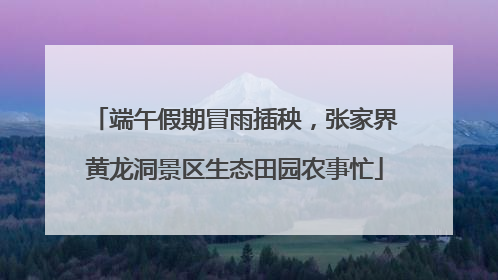 端午假期冒雨插秧，张家界黄龙洞景区生态田园农事忙
