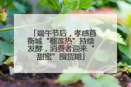 端午节后，孝感首衡城“榴莲热”持续发酵，消费者迎来“甜蜜”囤货期