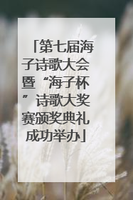 第七届海子诗歌大会暨“海子杯”诗歌大奖赛颁奖典礼成功举办