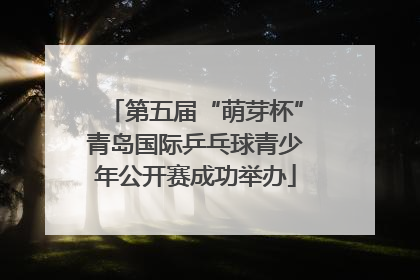 第五届“萌芽杯”青岛国际乒乓球青少年公开赛成功举办