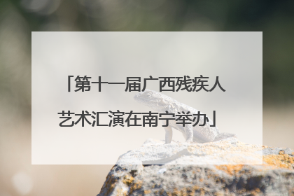 第十一届广西残疾人艺术汇演在南宁举办