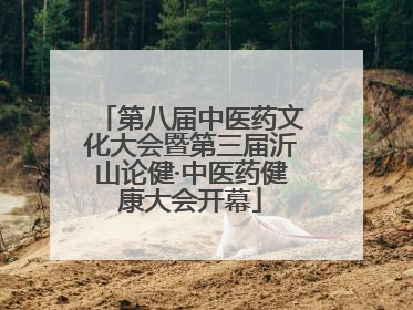 第八届中医药文化大会暨第三届沂山论健·中医药健康大会开幕