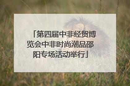 第四届中非经贸博览会中非时尚潮品邵阳专场活动举行