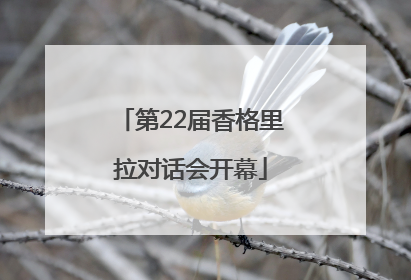 第22届香格里拉对话会开幕