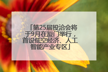 第25届投洽会将于9月在厦门举行，首设低空经济、人工智能产业专区