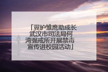 翼护雏鹰助成长 武汉市司法局何湾强戒所开展禁毒宣传进校园活动