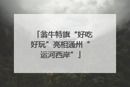 翁牛特旗“好吃好玩”亮相通州“运河西岸”