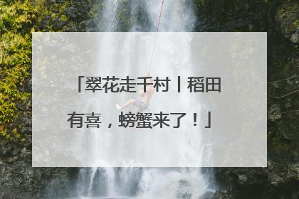 翠花走千村丨稻田有喜，螃蟹来了！