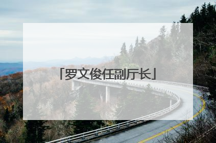 罗文俊任副厅长