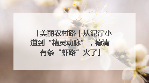 美丽农村路｜从泥泞小道到“精灵动脉”，德清有条“虾路”火了