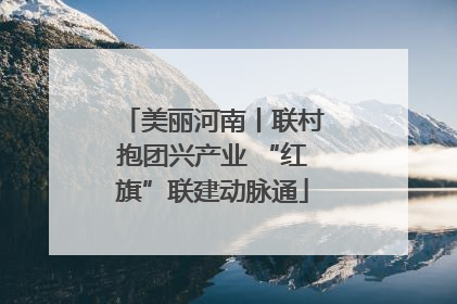 美丽河南丨联村抱团兴产业 “红旗”联建动脉通