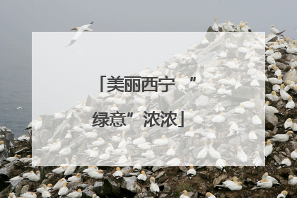 美丽西宁 “绿意”浓浓