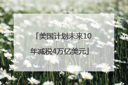 美国计划未来10年减税4万亿美元