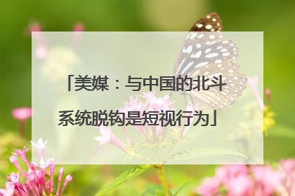 美媒：与中国的北斗系统脱钩是短视行为