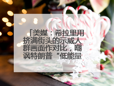 美媒：希拉里用挤满街头的示威人群画面作对比，嘲讽特朗普“低能量”阅兵式观众少