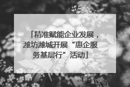 精准赋能企业发展，潍坊潍城开展“惠企服务基层行”活动