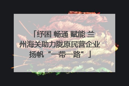 纾困 畅通 赋能 兰州海关助力陇原民营企业扬帆“一带一路”