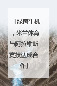 绿茵生机，米兰体育与阿拉维斯竞技达成合作