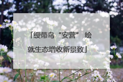 绶带鸟“安营” 绘就生态增收新景致