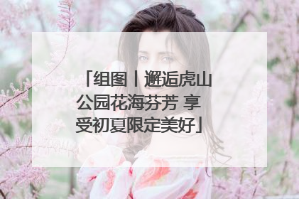 组图丨邂逅虎山公园花海芬芳 享受初夏限定美好