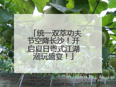 统一双萃功夫节空降长沙！开启夏日粤式江湖潮玩盛宴！