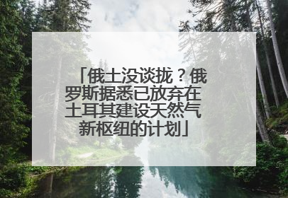 俄土没谈拢？俄罗斯据悉已放弃在土耳其建设天然气新枢纽的计划