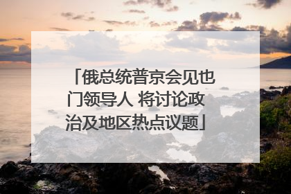 俄总统普京会见也门领导人 将讨论政治及地区热点议题