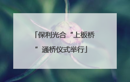 保利光合“上板桥”通桥仪式举行