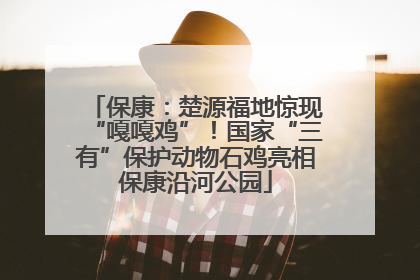 保康：楚源福地惊现“嘎嘎鸡”！国家“三有”保护动物石鸡亮相保康沿河公园