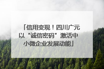 信用变现！四川广元以“诚信密码”激活中小微企业发展动能