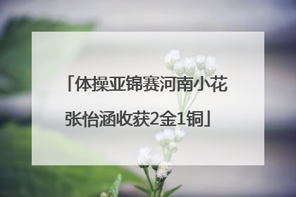 体操亚锦赛河南小花张怡涵收获2金1铜