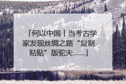 何以中国丨当考古学家发现丝绸之路“复制粘贴”版驼夫……