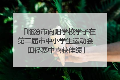 临汾市向阳学校学子在第二届市中小学生运动会田径赛中喜获佳绩