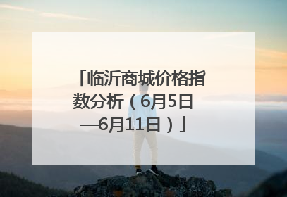 临沂商城价格指数分析（6月5日—6月11日）